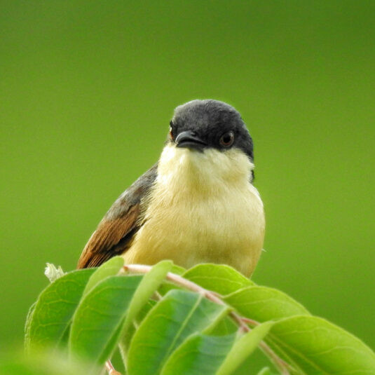 Ozvěny EKOFILMu v Plzni