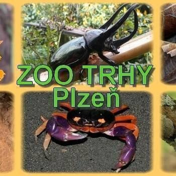 Zoo trhy Plzeň 