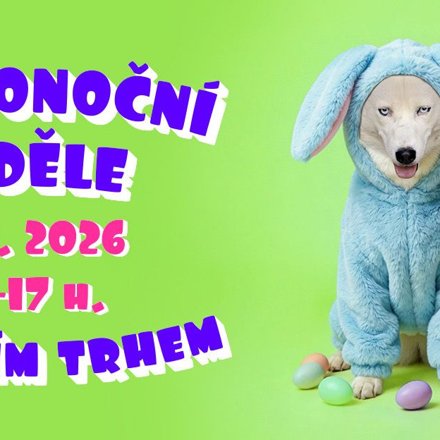 Velikonoční neděle s jarním trhem v útulku