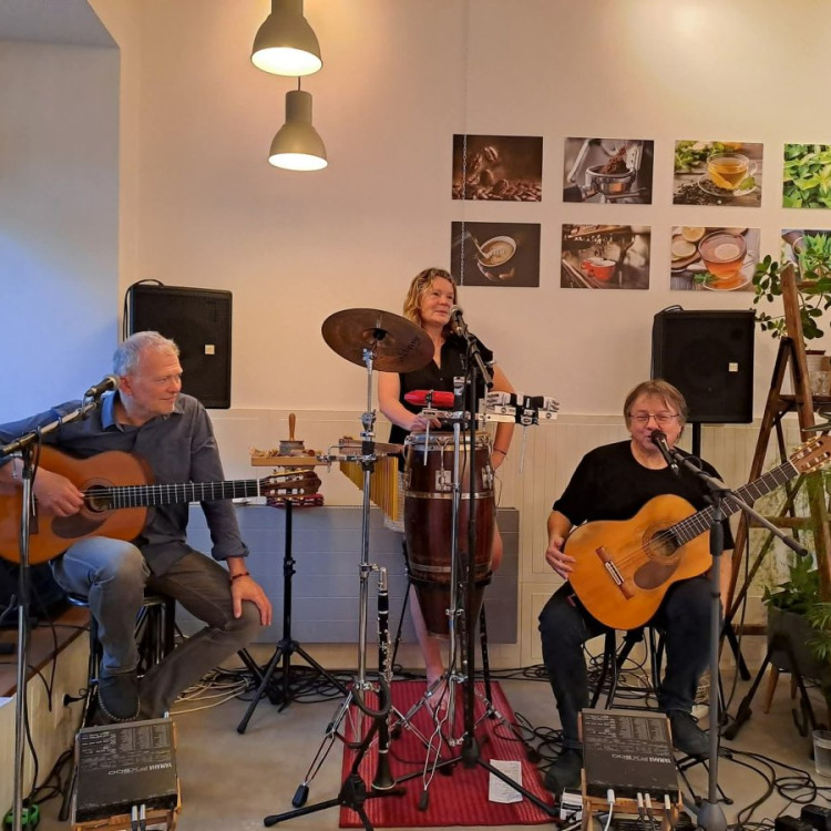 SPOLEKTIV TRIO: Koncert mezi knihami