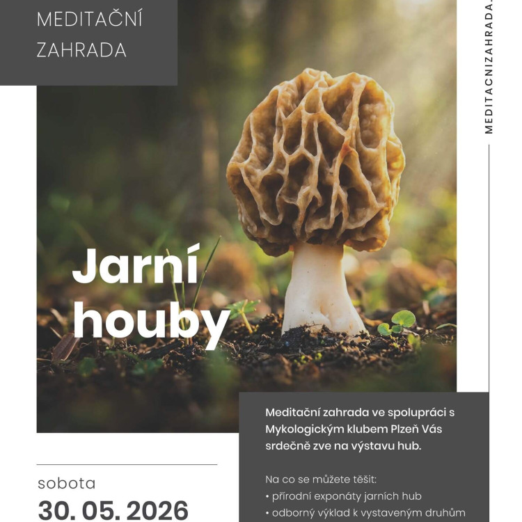 Jarní houby v Meditační zahradě