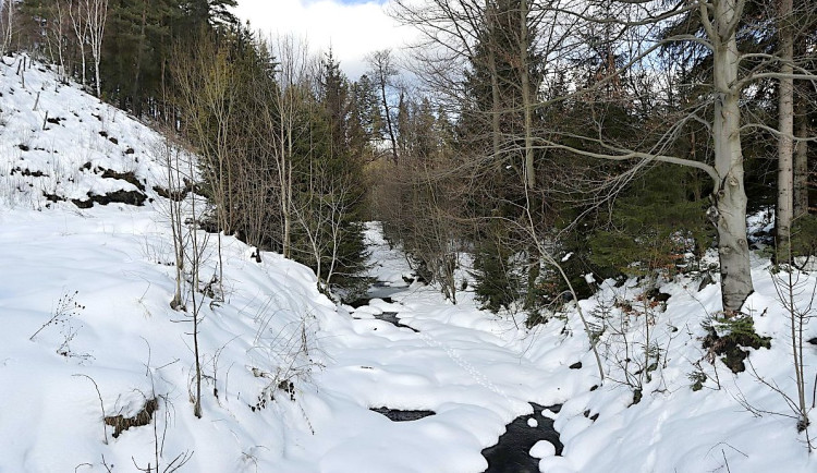Fotoreportáž: Leden - první ohlednutí
