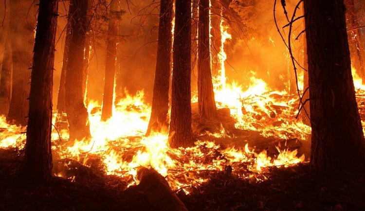 Na jihu Brna hořela stráň, chtěl v ní uhořet člověk