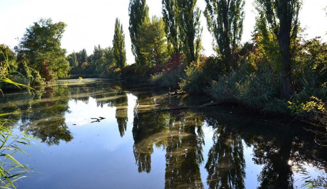 Brno nechá odčerpat bahno z Holáseckých jezer. Revitalizace přírodní památky vyjde na desítky milionů