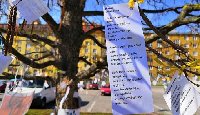 FOTO: Na náměstí v Blansku vykvetl básníkovník