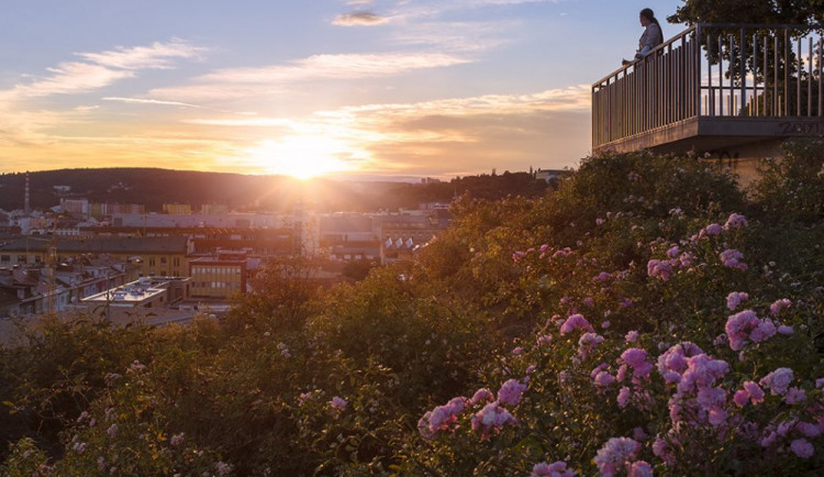 TIPY NA VÍKEND: Semifinálová bitva, Festival pro otrlého diváka, tématické prohlídky, Ukliďme Česko
