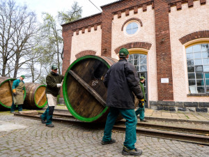 Smolení sudů v Plzeňském Prazdroji.