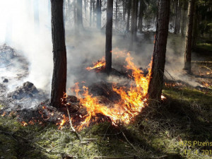 VAROVÁNÍ: Kvůli suchu hrozí v celém Česku vznik požárů
