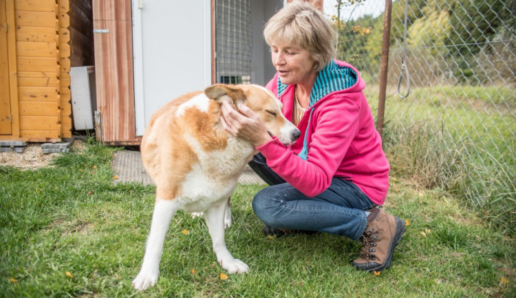 Autorka knihy, Iva Volková s jedním ze svých svěřenců