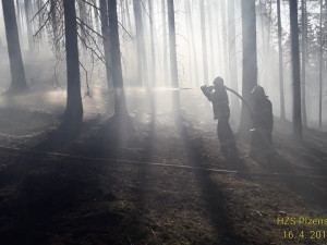 VIDEO: Hasiči zůstavají u lesa, který začal u Plzně hořet v pondělí