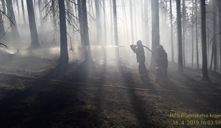 Na místě požáru lesa u Plzně budou hasiči minimálně do čtvrtka.