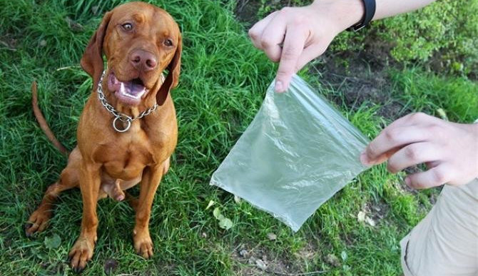 Po svém psovi neuklízím a nikdy to nikomu nevadilo, prohlásil pejskař v Líšni a začal spor