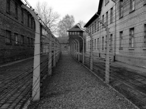 V Plzni se budou číst jména obětí holocaustu