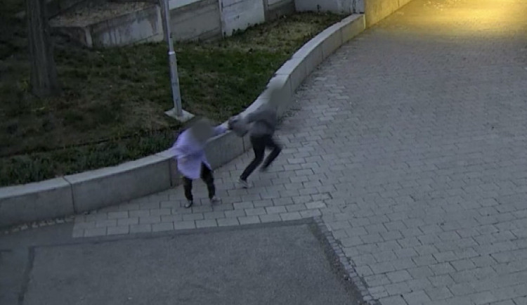 VIDEO: Sedmnáctiletý výrostek přepadl na Staré osadě stařenku o holi, povalil ji a ukradl tašku