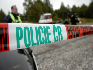 Soud v Plzni poslal do detence muže, který loni zabíjel mačetou