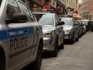 Policisté z Plzeňska hledají lupiče i případné svědky