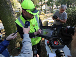 Kvalitu stromů v Plzni zjišťuje tomograf, najde dutiny i defekty
