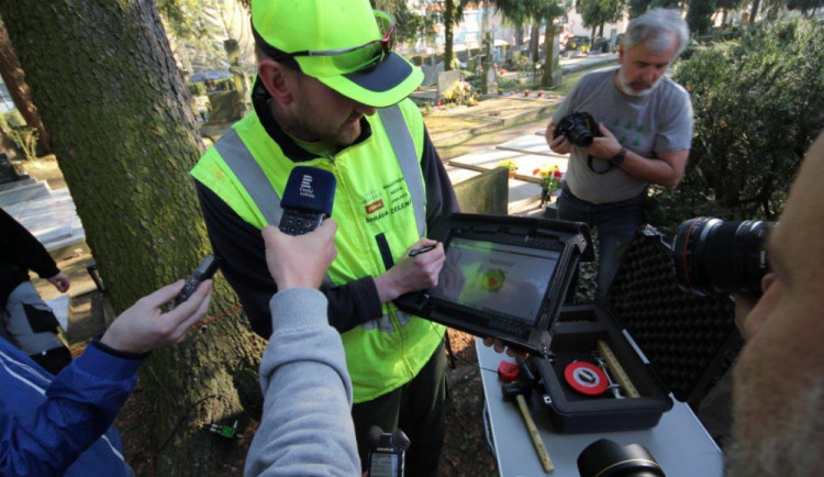 Kvalitu stromů v Plzni zjišťuje tomograf, najde dutiny i defekty.