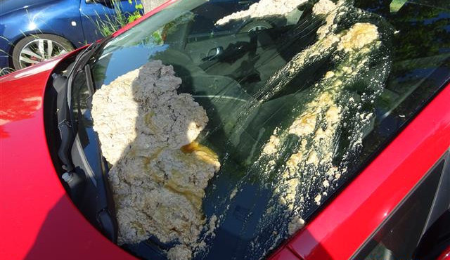 FOTO: Řidičce v Brně někdo polil auto nechutnou smradlavou hmotou