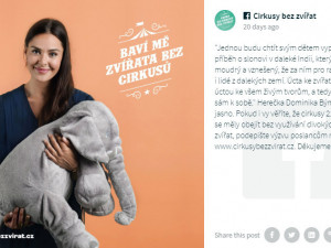 Divoká zvířata do šapitó nepatří, kampaň chce Cirkusy bez zvířat! Podporují ji i známé osobnosti.