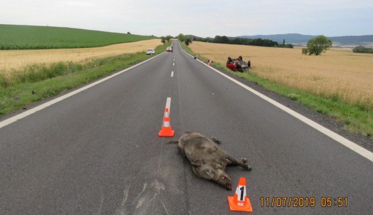 Kanec způsobil stotisícovou škodu. Na Plzeňsku zapříčinil střet dvou aut.