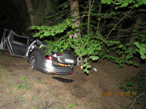 Přednost dostal pes. Muž se zpovídá z toho, že nepomohl spolujezdci při nehodě.