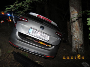 Přednost dostal pes. Muž se zpovídá z toho, že nepomohl spolujezdci při nehodě.