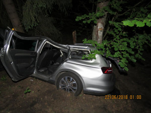 Přednost dostal pes. Muž se zpovídá z toho, že nepomohl spolujezdci při nehodě.