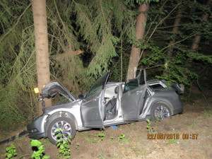 Přednost dostal pes. Muž se zpovídá z toho, že nepomohl spolujezdci při nehodě.