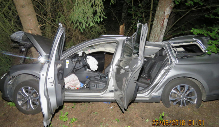 Přednost dostal pes. Muž se zpovídá z toho, že nepomohl spolujezdci při nehodě.