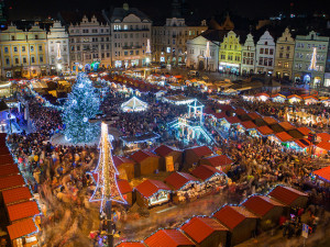 Plzeň už hledá vánoční strom na náměstí, darovat ho mohou lidé
