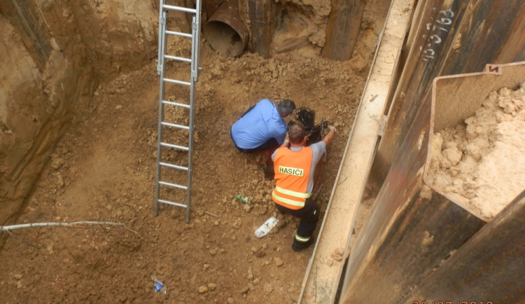 Záchranná akce srnce z hlubokého výkopu.