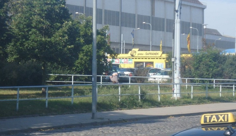 Gymnastický kousek opilému muži nevyšel. Zůstal zaklíněn na zábradlí hlavou dolů.