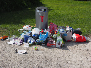 Plzeň chce od ledna zdražit svoz odpadu, město na něj moc doplácí