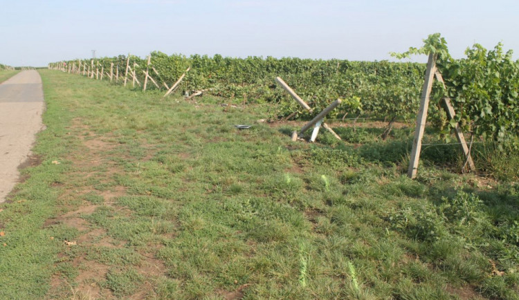 FOTO: Neznámý řidič naboural vinohrad a ujel. Na místě ale nechal části auta