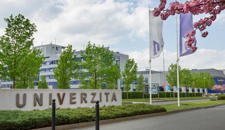 Vedení: Plzeňská práva jsou 10 let od aféry stabilní a prestižní