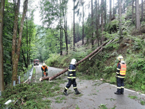 V Plzeňském kraji je 2500 domácností bez proudu, padaly stromy
