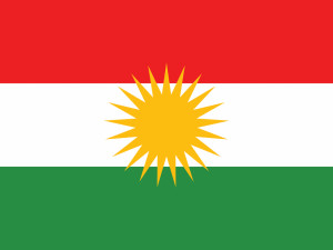 Plzeňský kraj vyvěsí na důkaz solidarity s Kurdy jejich vlajku