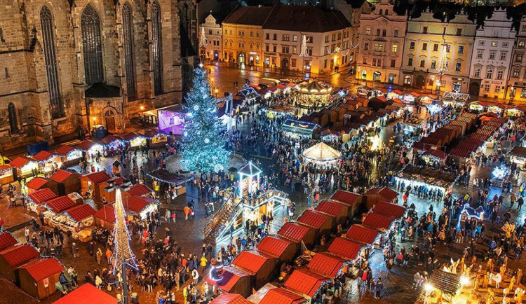 Vánoční strom pro Plzeň bude letos zhruba čtrnáct metrů vysoký smrk ztepilý