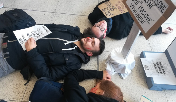 FOTO/VIDEO: Hromadná smrt v Letmu. Aktivisté demonstrativně poukázali na vymírání druhů