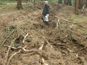 Inspekce pokutuje firmu za poškození půdy při těžbě v CHKO Český les.