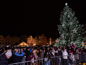 Plzeň rozsvítila vánoční strom, zdobí ho kilometry řetězů světel