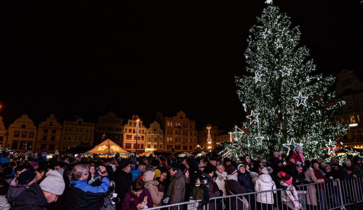 Plzeň rozsvítila vánoční strom, zdobí ho kilometry řetězů světel.