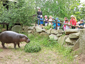 Zoo Plzeň překonala rekord v návštěvnosti, doufá v 500 tisíc lidí