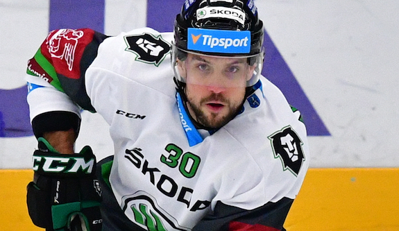 Útočník Pacovský bude měsíc hostovat v Plzni.