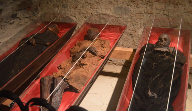 Klatovské katakomby s mumiemi měly loni rekordní návštěvnost.