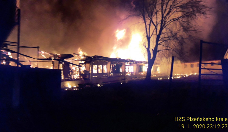 Při požáru vepřína na Rokycansku uhořelo 300 prasnic a 1300 selat.