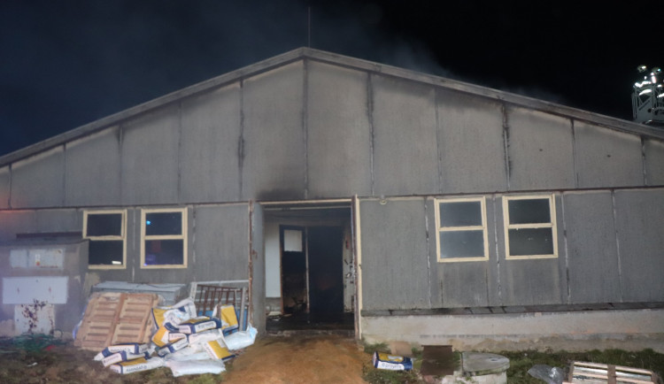 Firma už odvezla mrtvá prasata po požáru vepřína na Rokycansku.