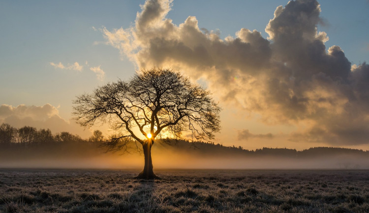 POČASÍ NA PONDĚLÍ: Ze zataženého nebe občas vykoukne sluníčko, teploty jako na jaře