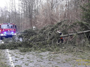 Hasiči v Plzeňském kraji vyjížděli kvůli větru ke 110 událostem